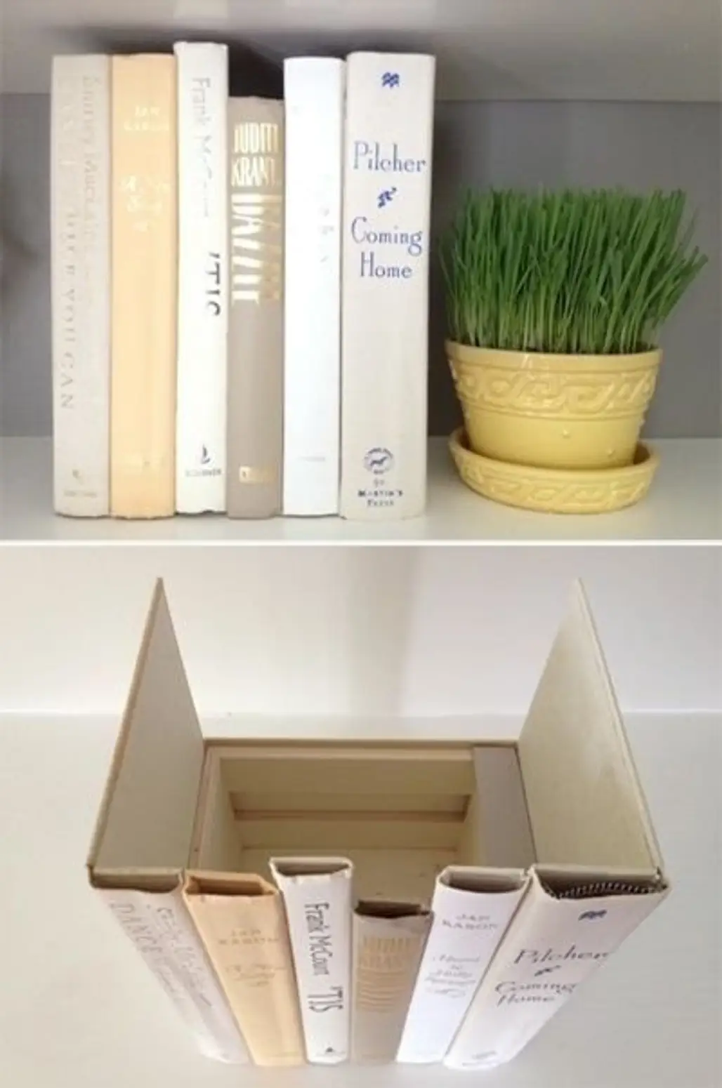 Hide Unsightly Items behind Fake Books
