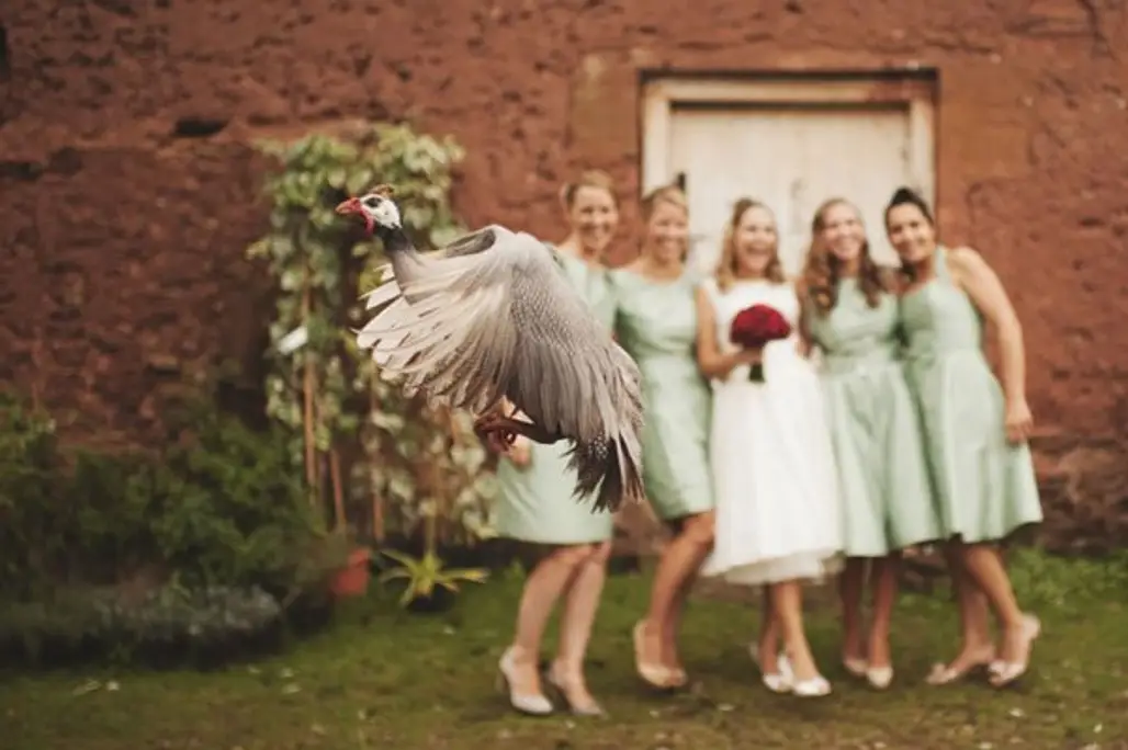 It's Bridesmaids. Not Birdsmaids!