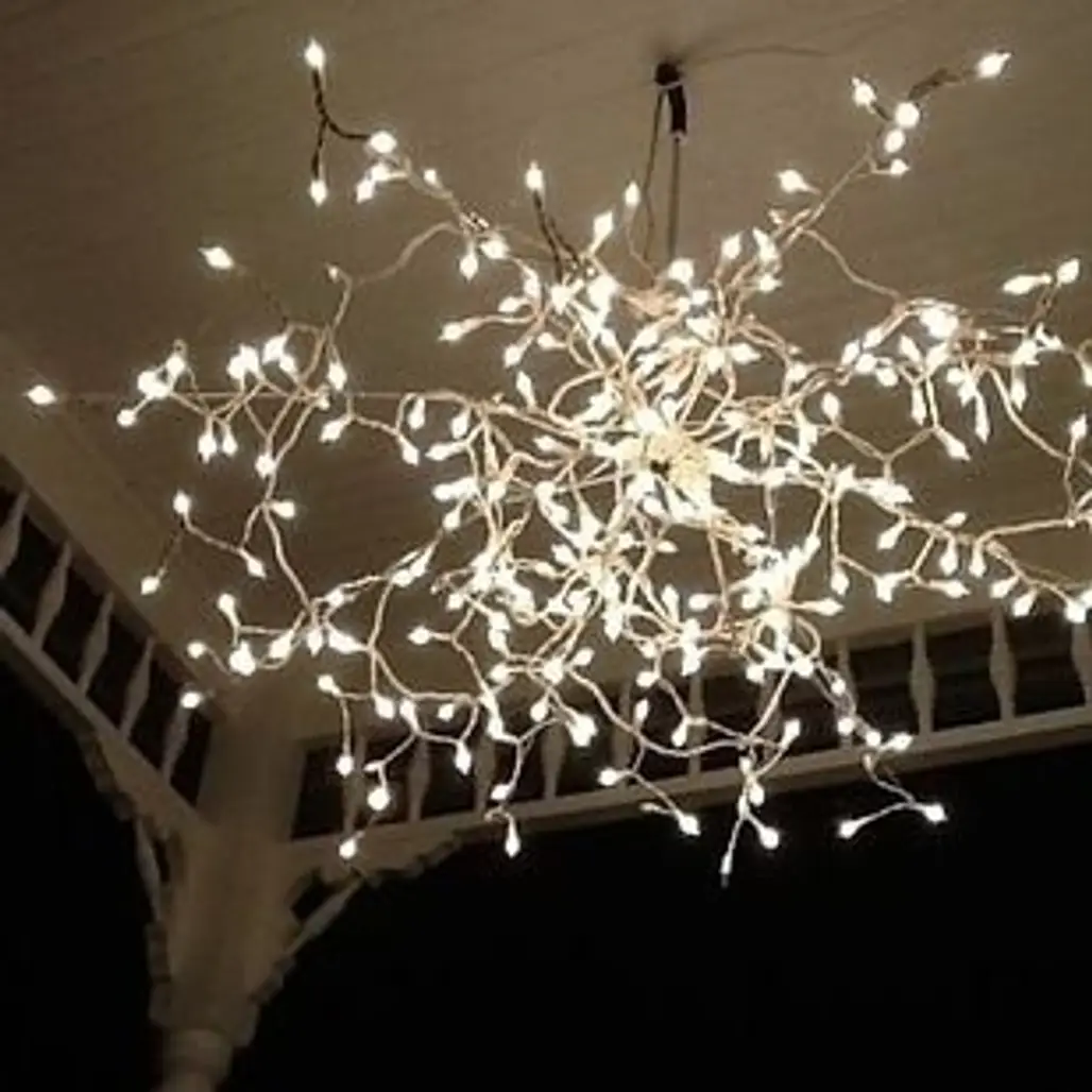 chandelier,light fixture,light,branch,lighting,