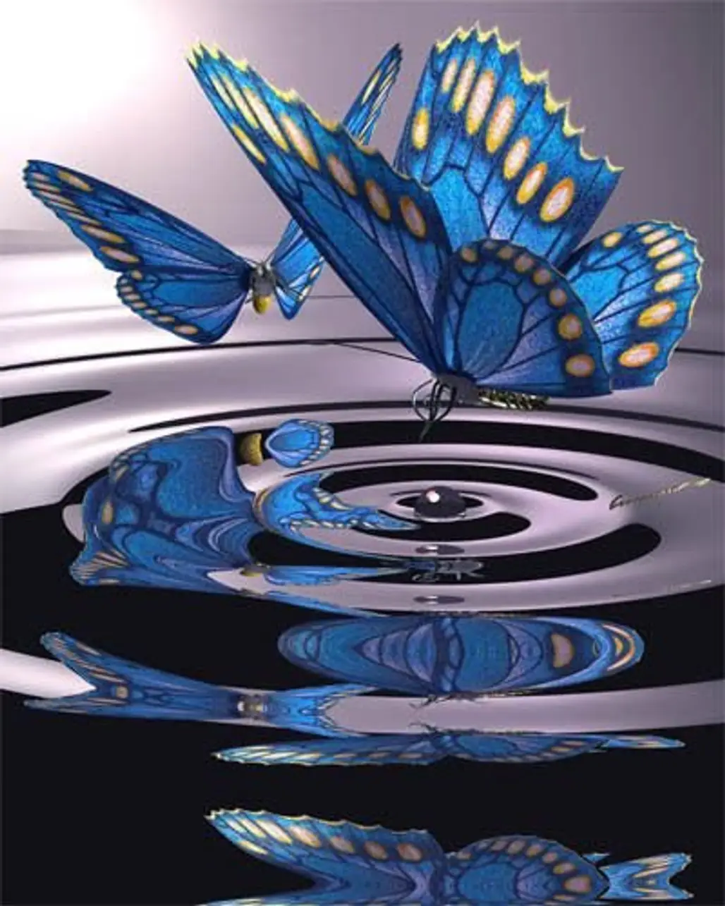 blue,glass,wing,flower,