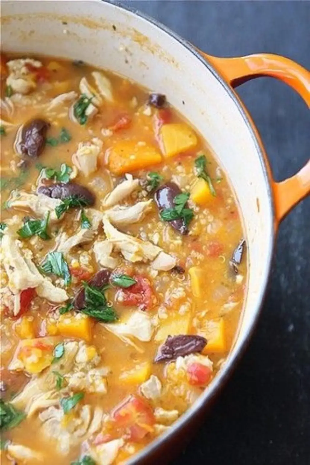 Hearty Chicken Stew with Butternut Squash