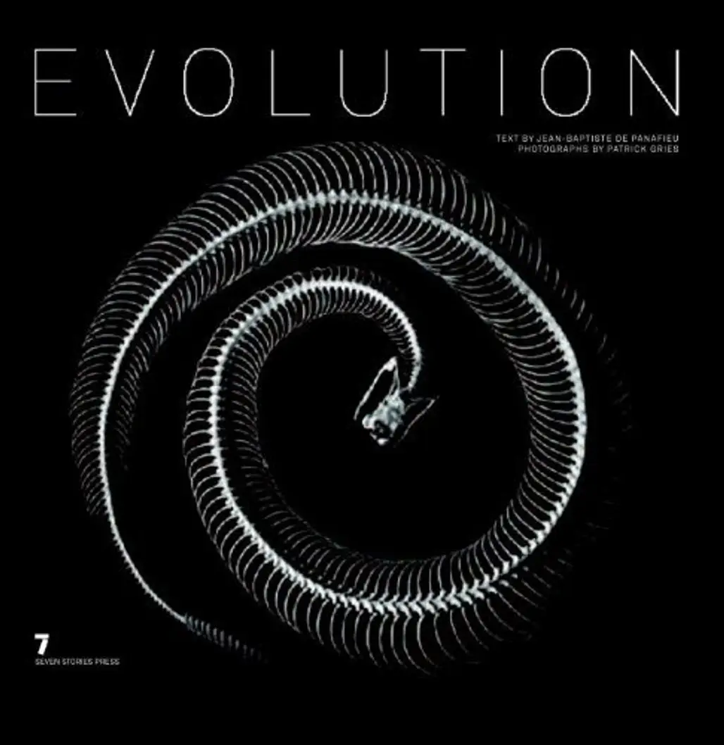 Evolution by Patrick Gries and Jean-Baptiste De Panafieu