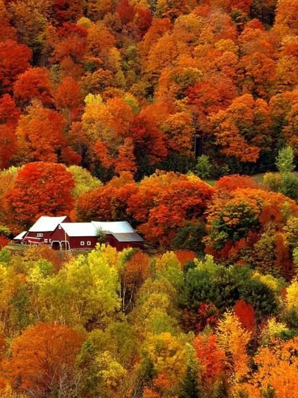 Vermont during Peak Foliage Season