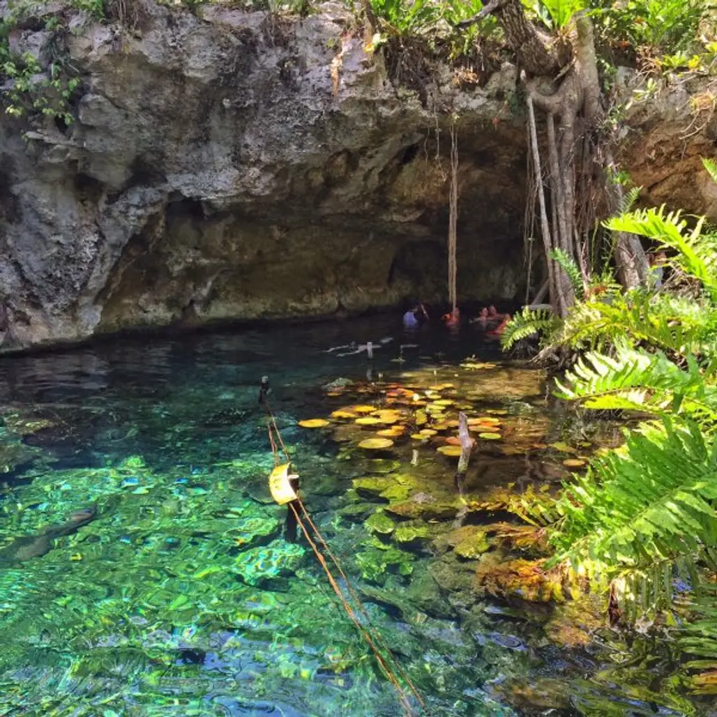 Join a Group Swim in a Cenote in Mexico