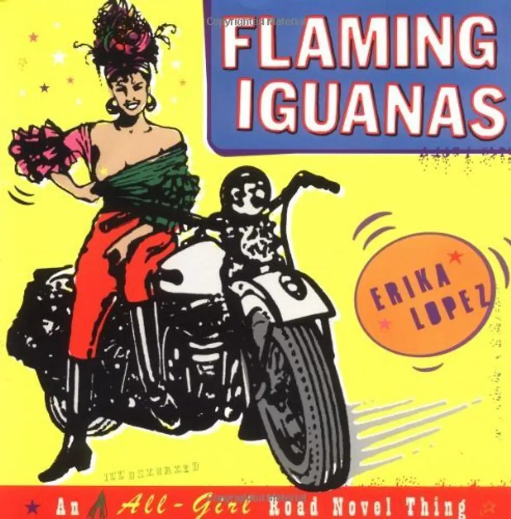 Flaming Iguanas: an Illustrated All-Girl Road Novel Thing by Erika Lopez