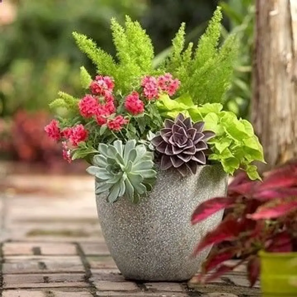 Colorful Pots