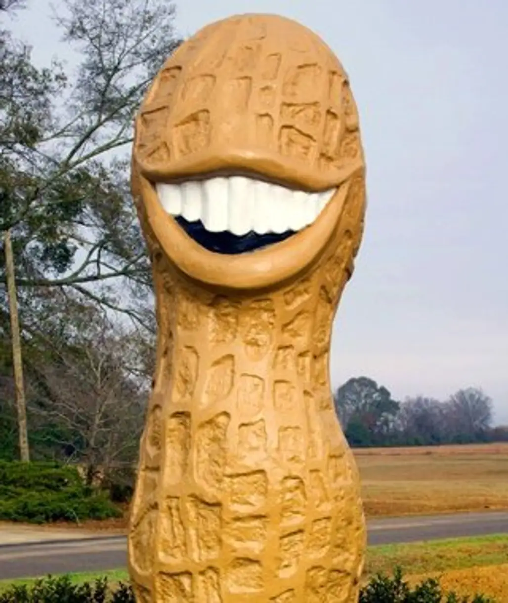 Jimmy Carter Peanut Statue, Plains, Georgia