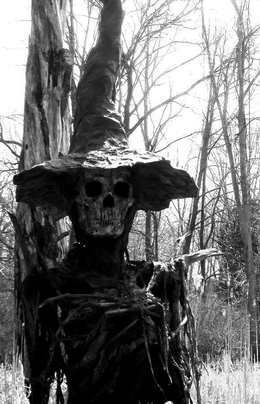 Creepy Scarecrow in a Forest