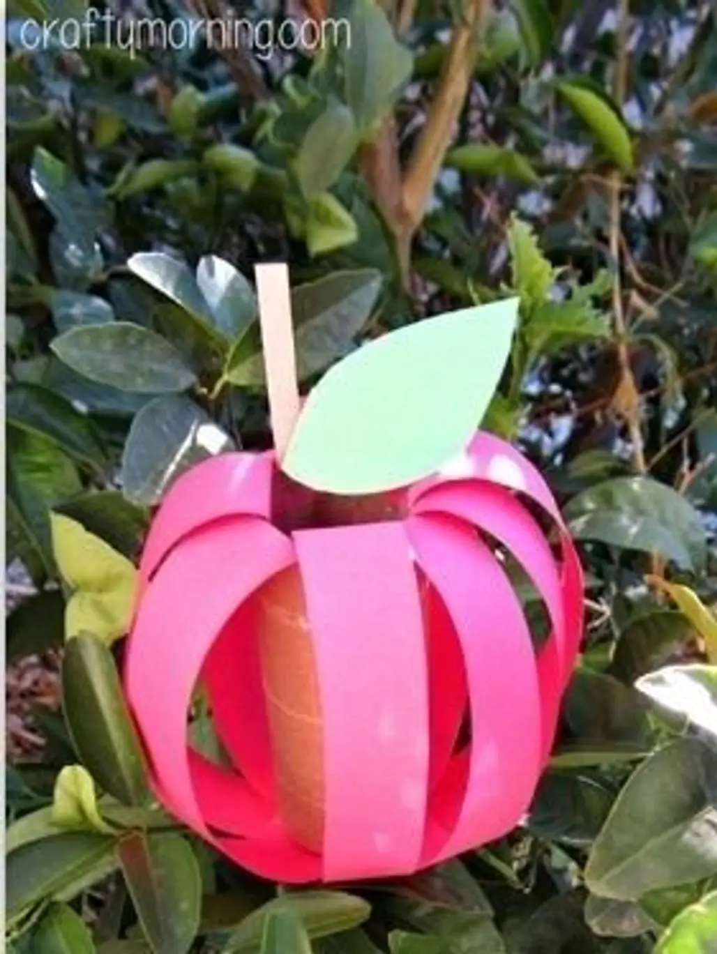 Apple Toilet Paper Roll Craft
