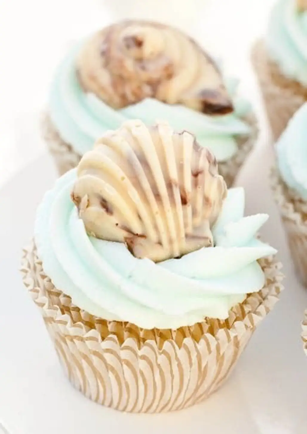 Chocolate Seashell Cupcakes