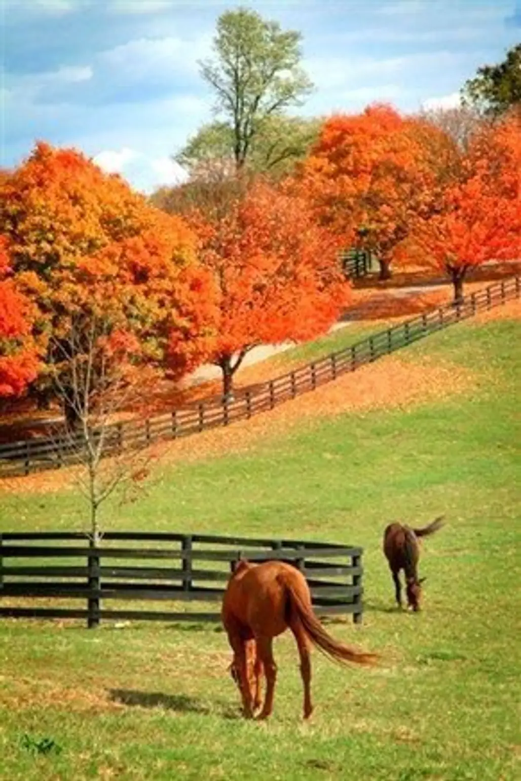 Autumn in Kentucky