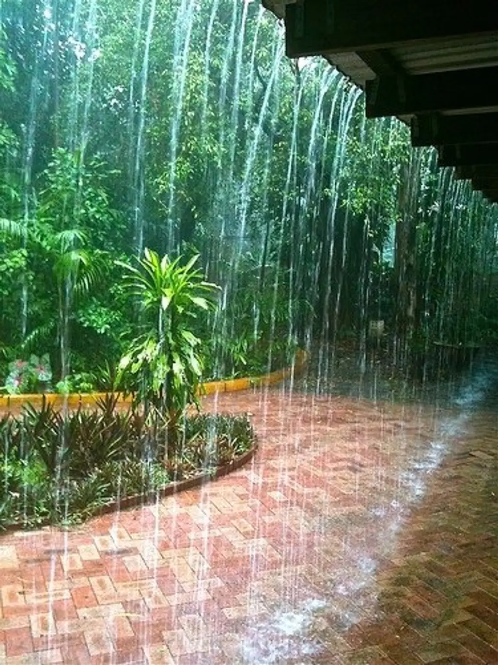 Monsoon Shower in Rapid Creek