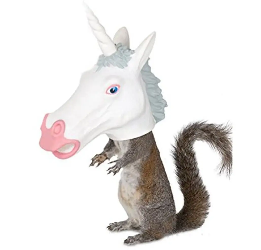 unicorn, animal figure, mustang horse, fictional character, mythical creature,