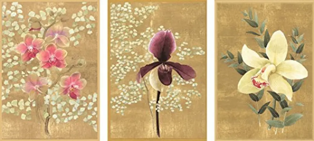 flower, petal, illustration,