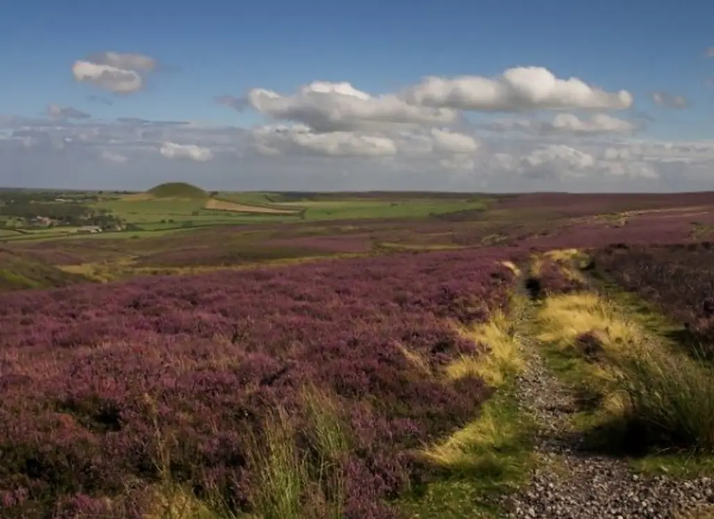 The North York Moors, England (from an American Werewolf in London)