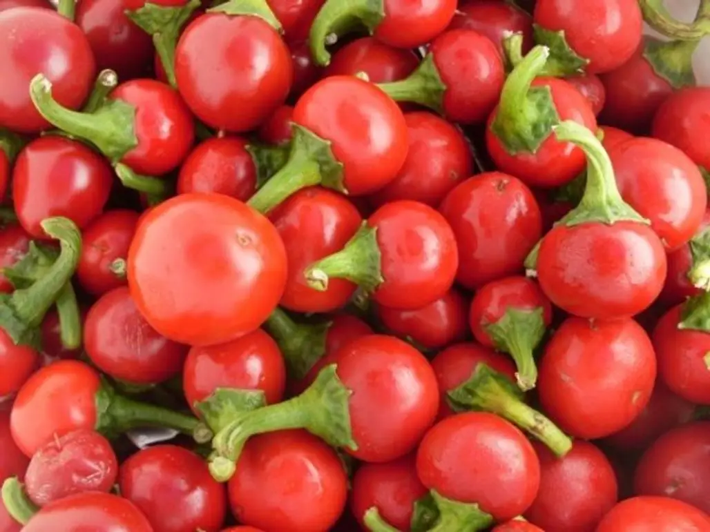 Red Cherry Hot Peppers