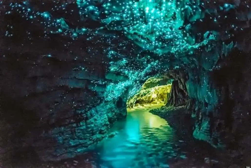 Waitomo Glowworms Cave (New Zealand)