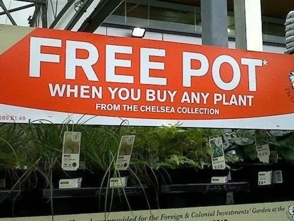 Free Pot