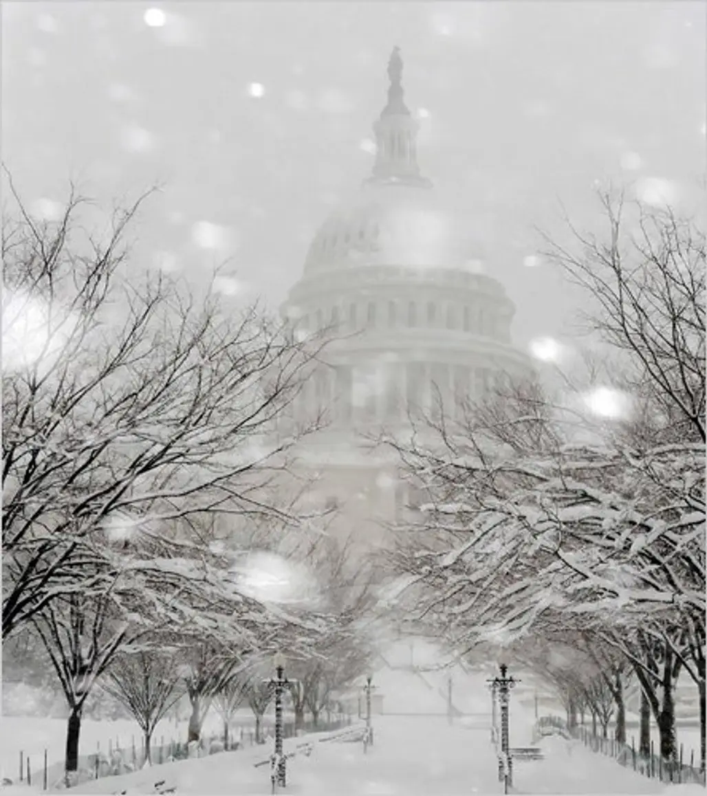 Washington D.C. Blizzard