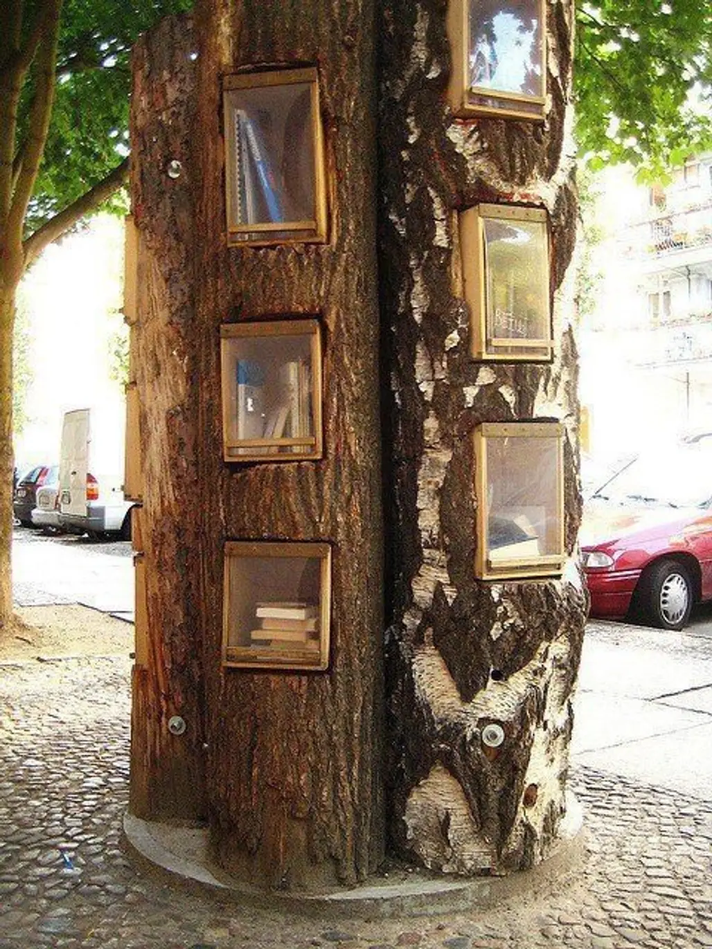 Borrow a Book from the Tree Library