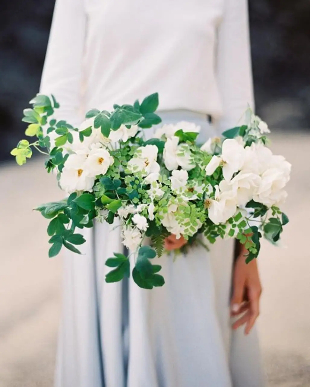 white, color, flower, plant, flower bouquet,