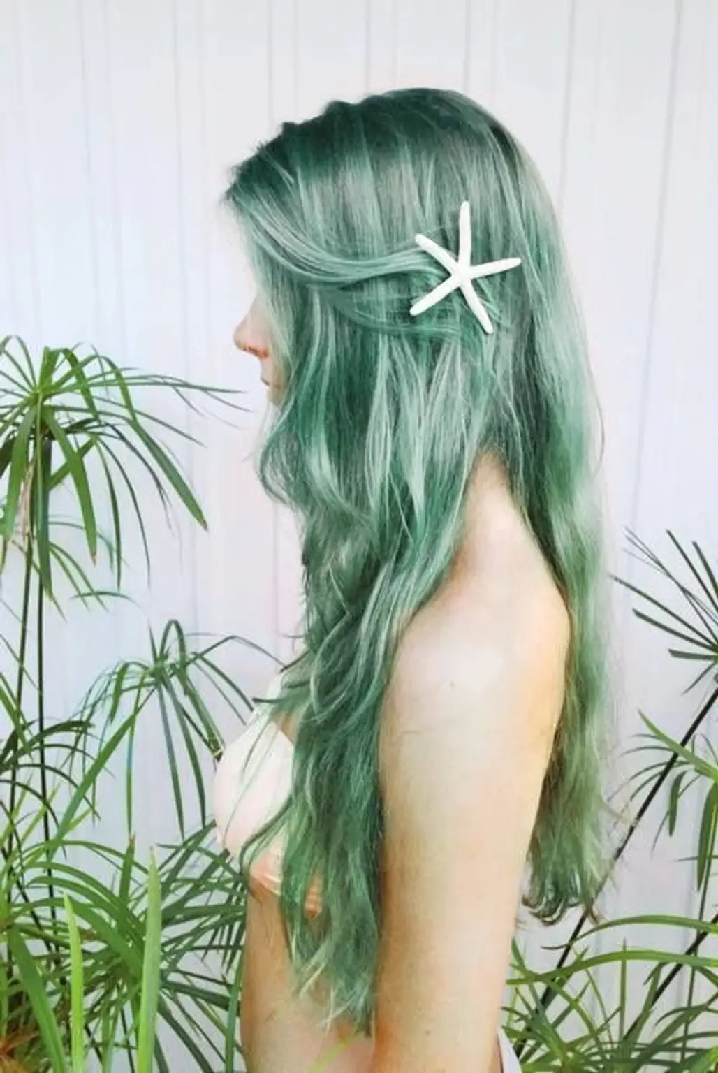 Pastel Green with a Starfish!
