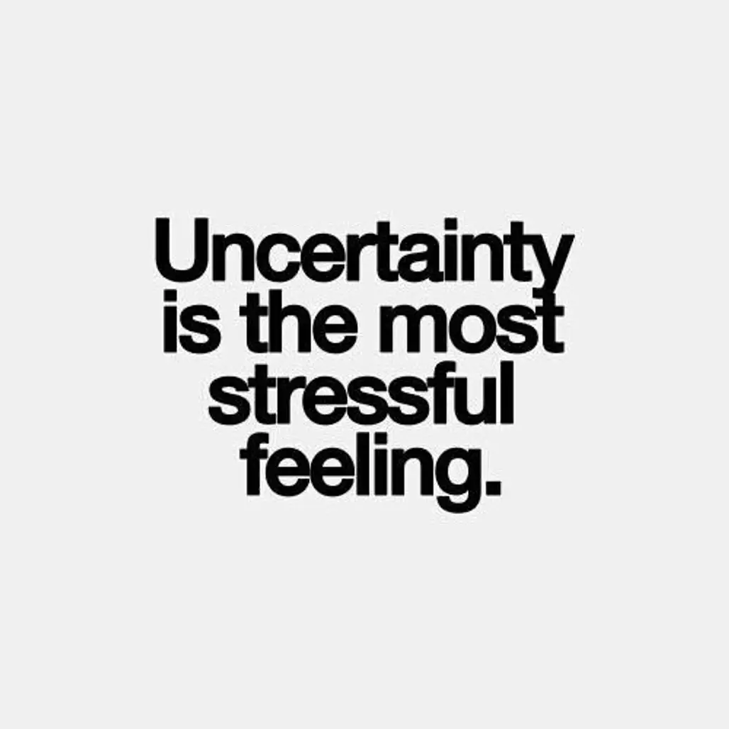 Ignore Uncertainty