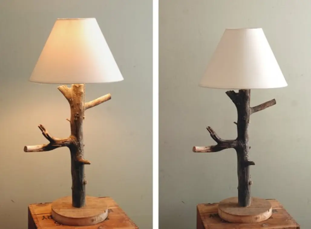 Turn a Branch into a Table Lamp