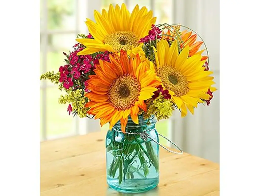 flower,plant,gerbera,flower arranging,yellow,