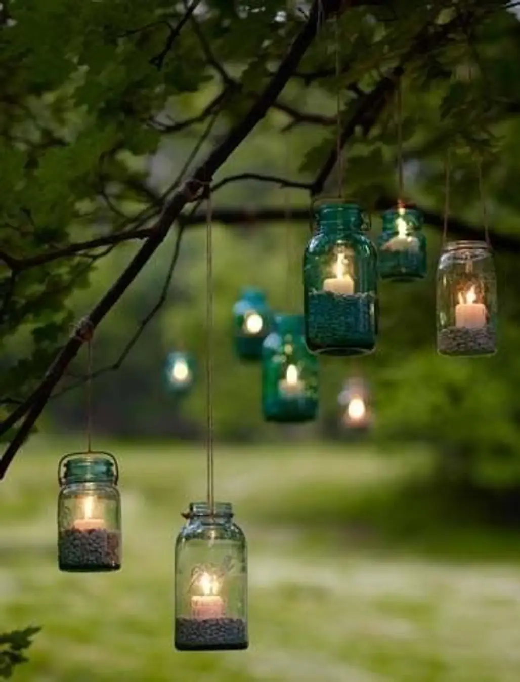 green,tree,light,lighting,lantern,