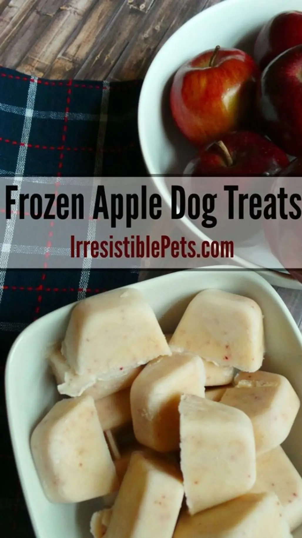 DIY Frozen Apple Dog Treat