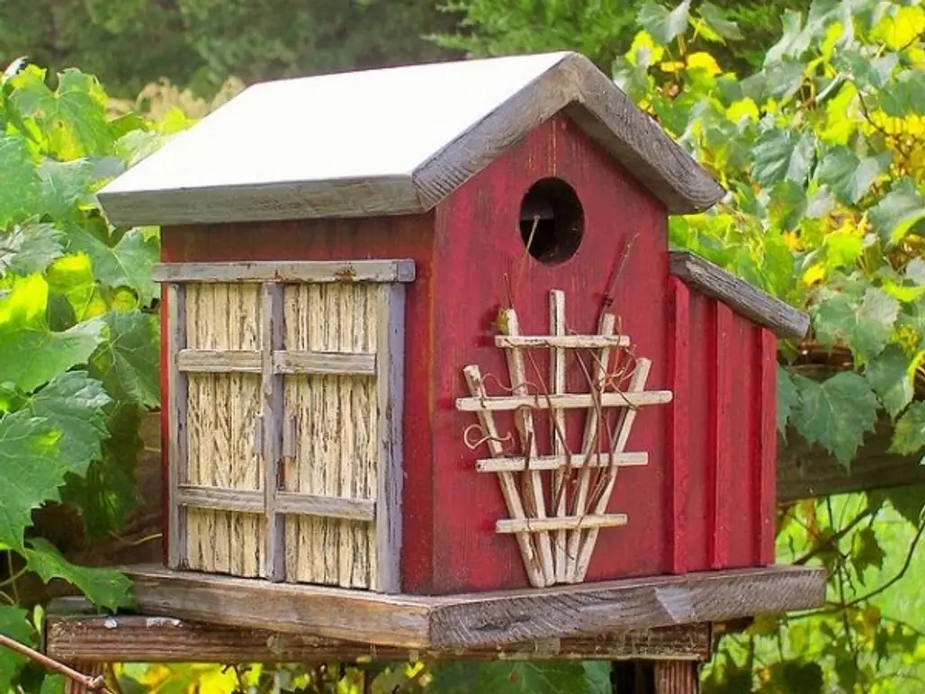 27 Alternative Uses for Bird Cages That You Will Fall in Love with