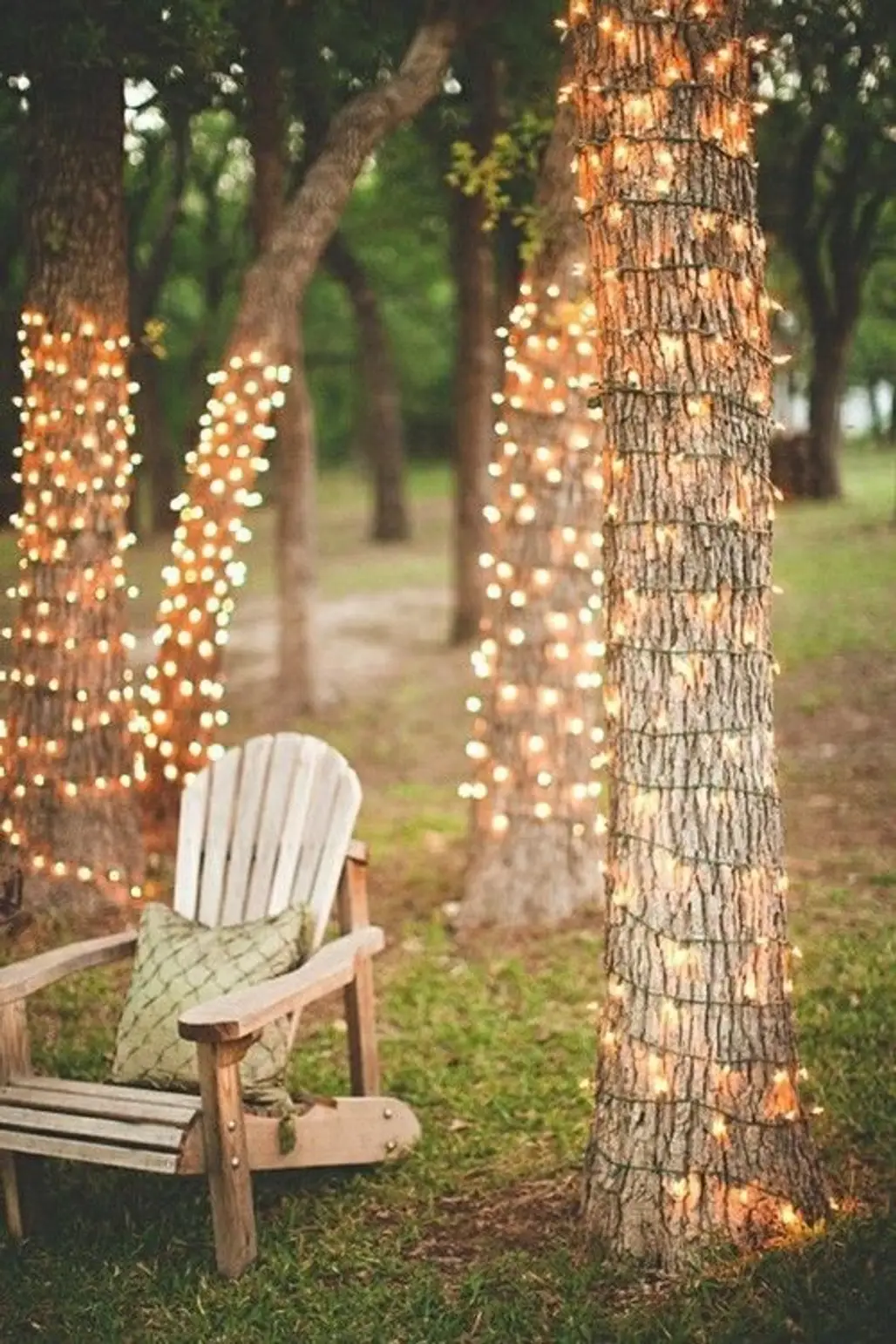 Keep the Party Going into the Night with White Lights Wrapped around Trees