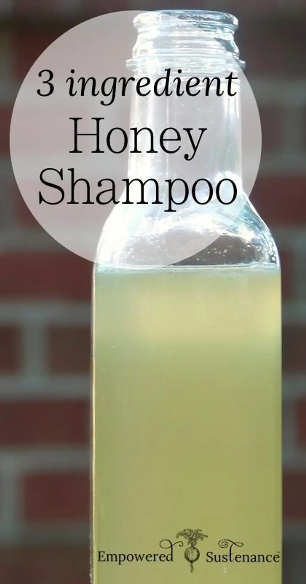 Honey Shampoo