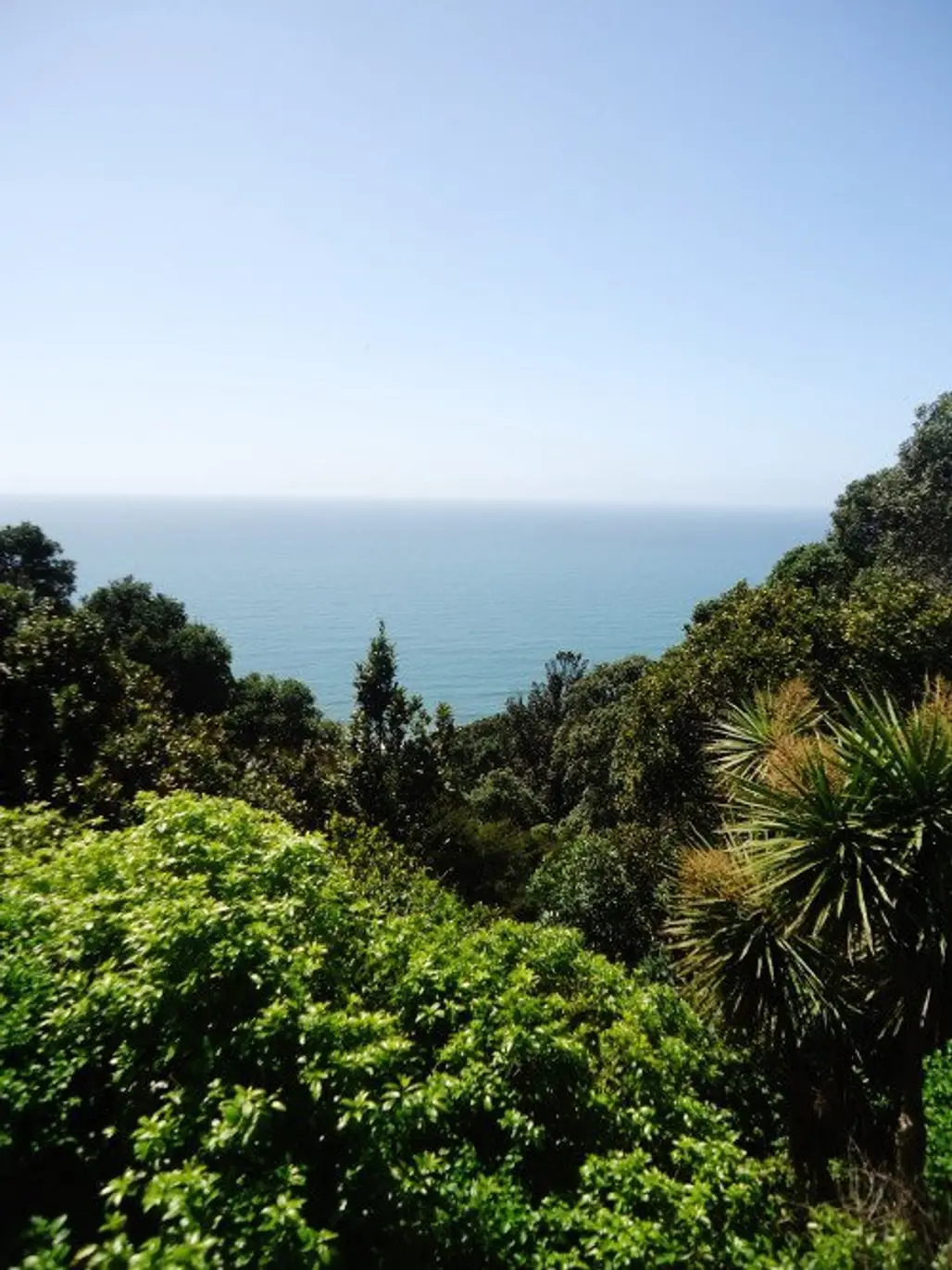 The Bay of Plenty is the Best Part of New Zealand