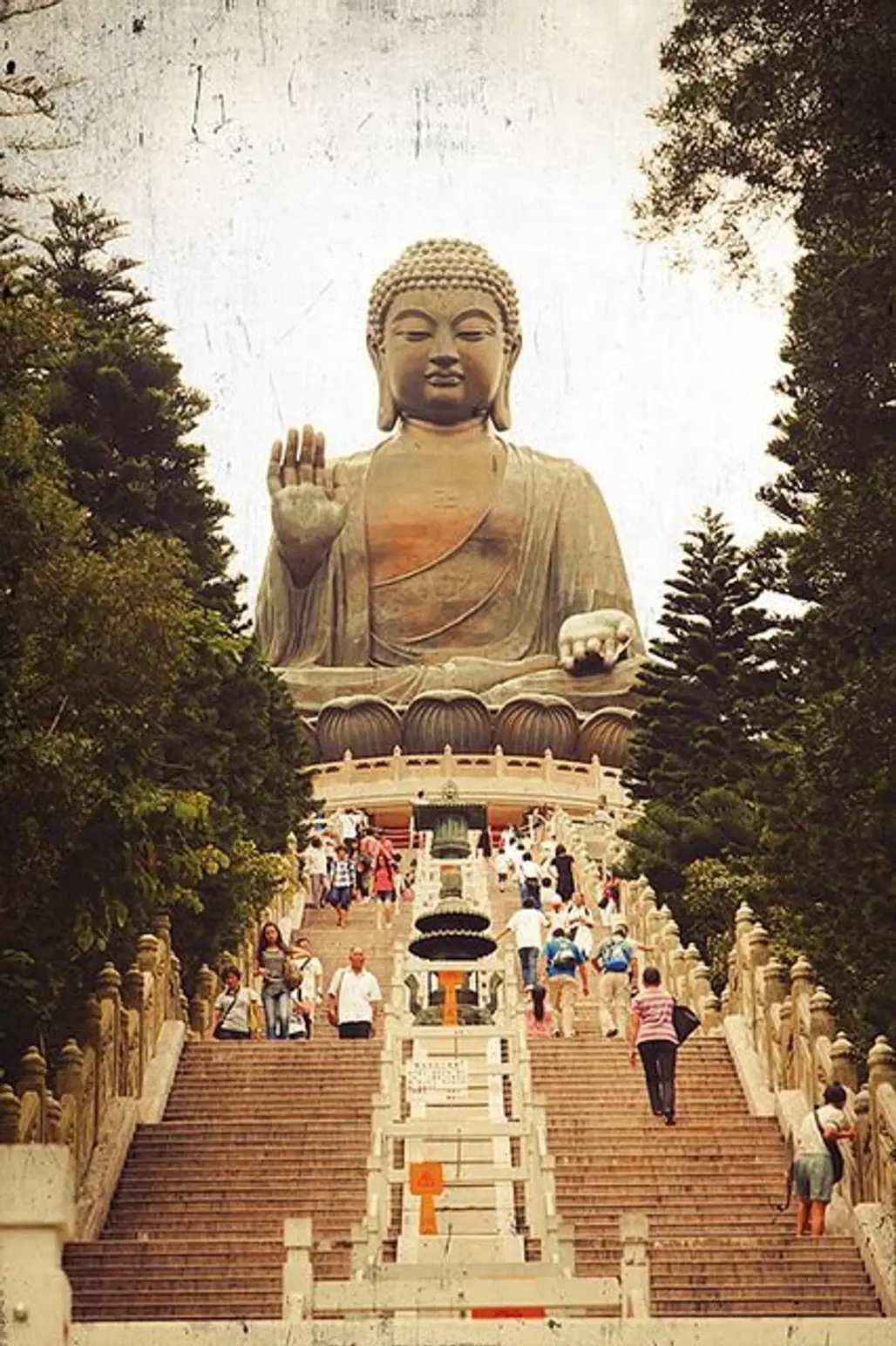 Visit Buddha
