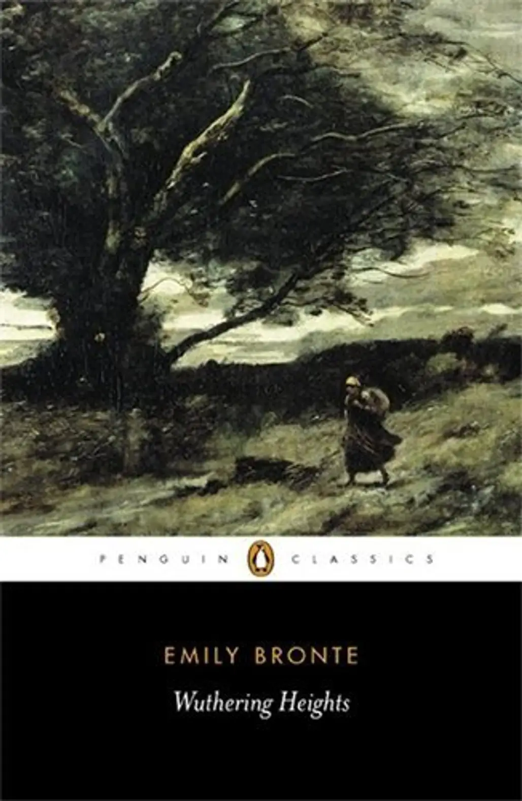 Wuthering Heights – Emily Bronte
