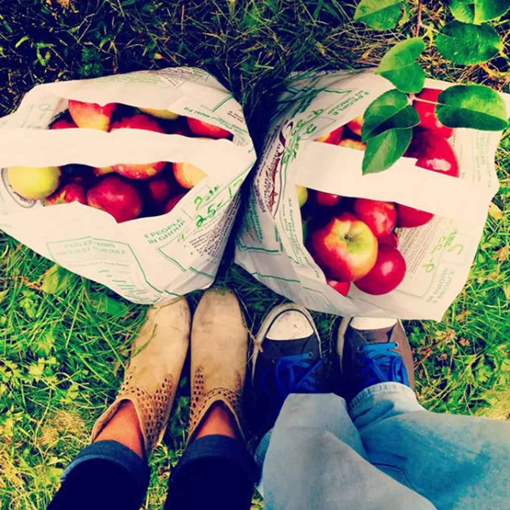 Apple Picking – with Instagram of Course