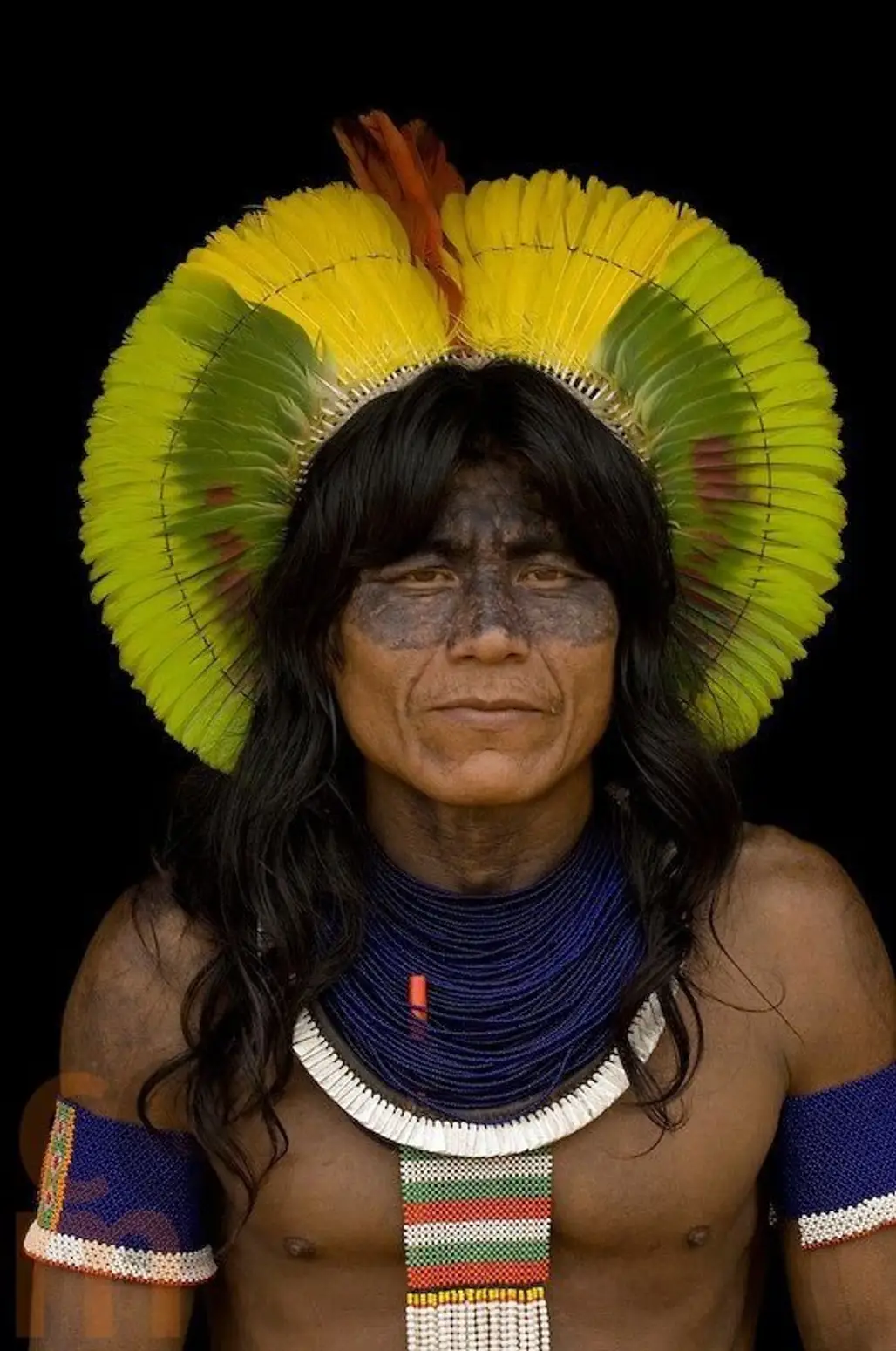 Indigenous Man of the Amazon