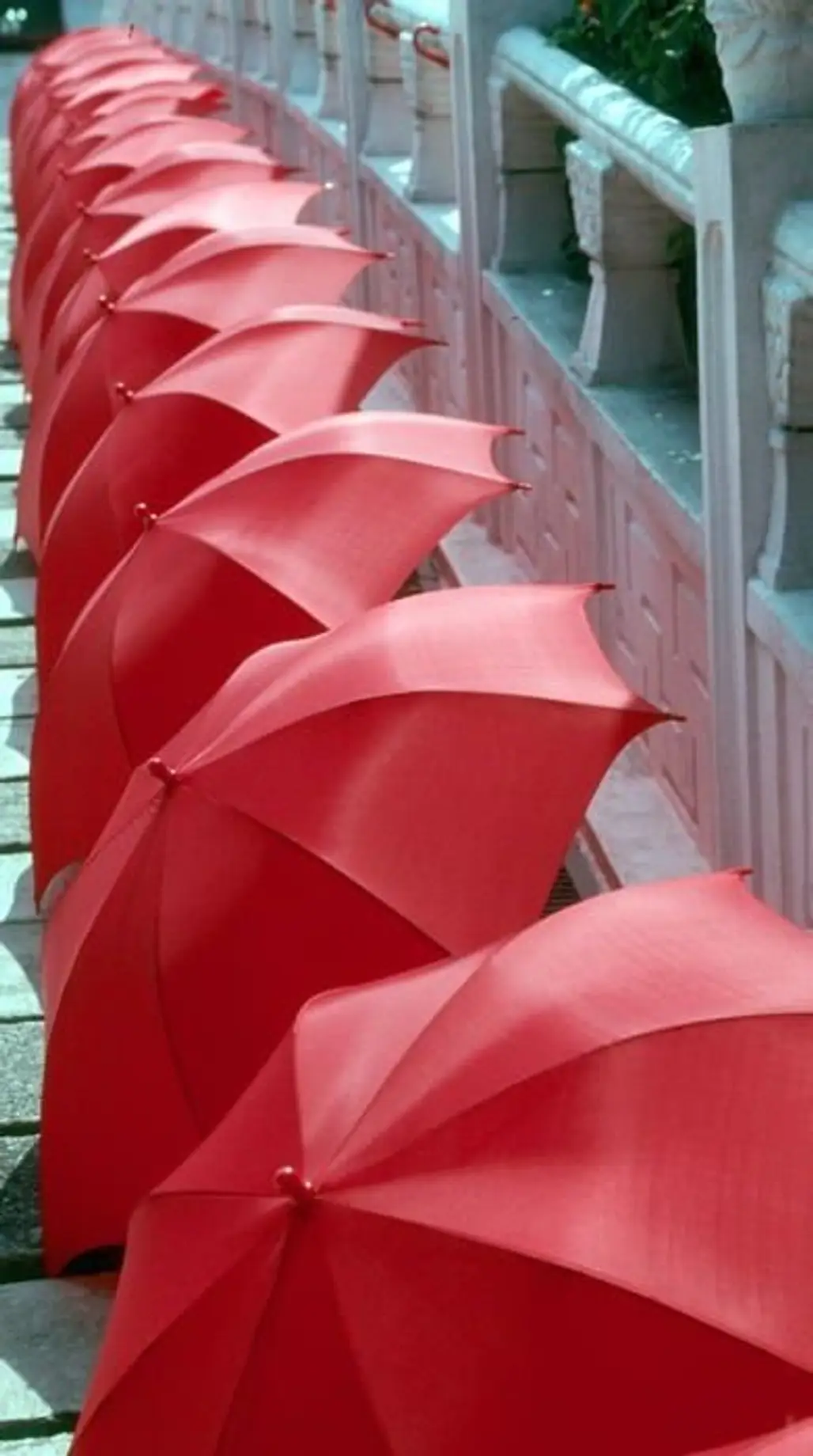 Red Umbrellas