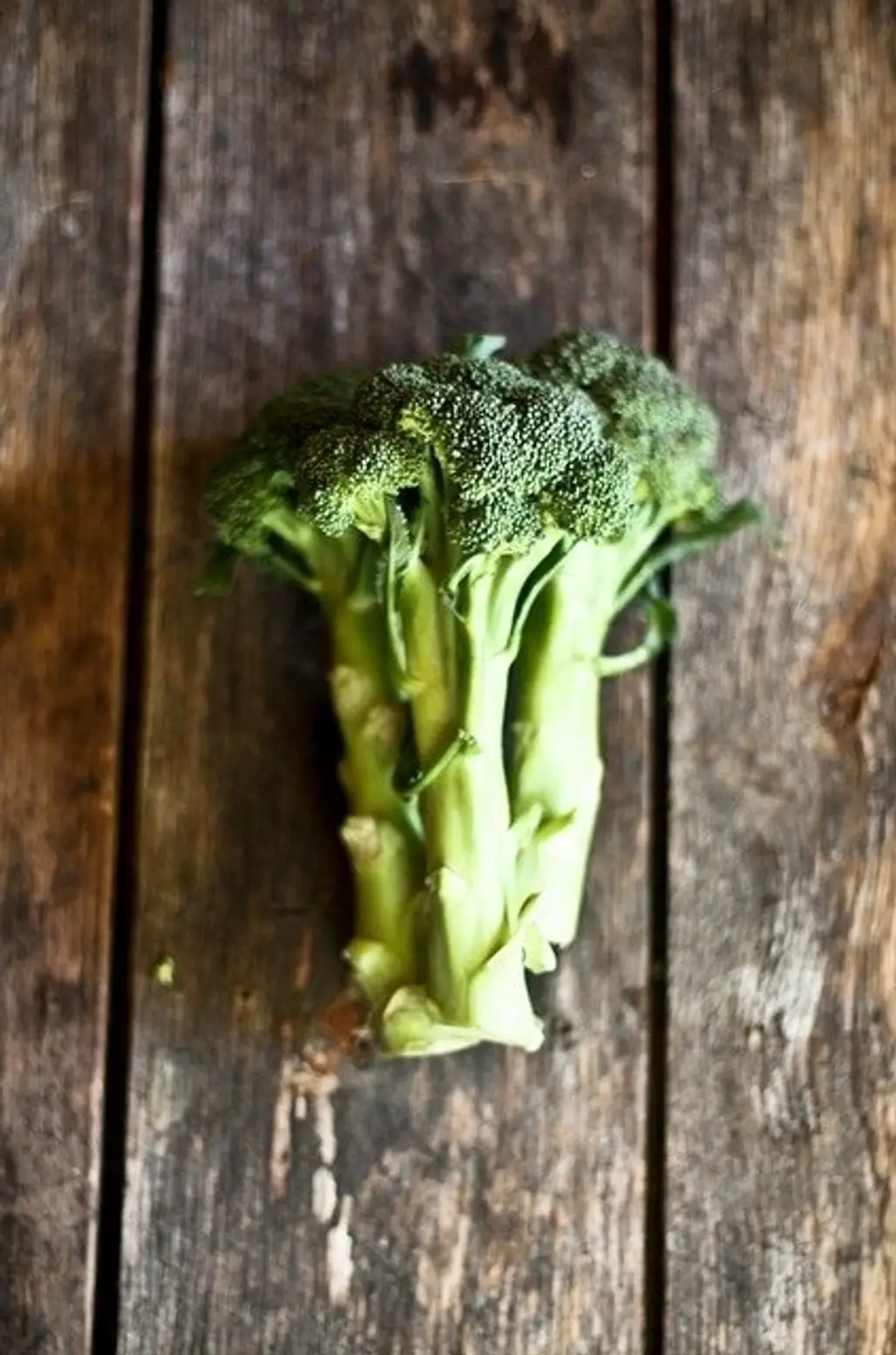 Broccoli Beats Breast Cancer