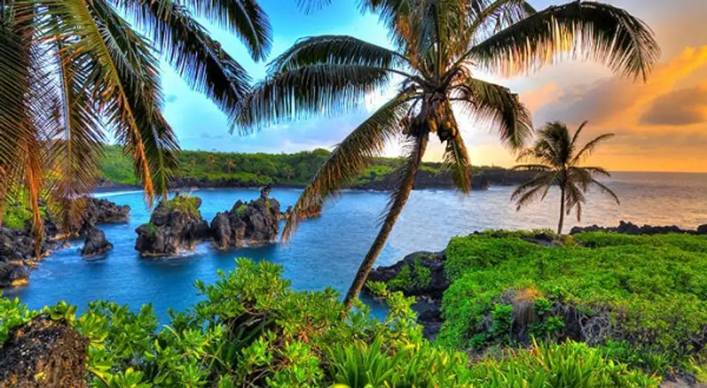 Josephine Skriver Says Aloha to Hawaii