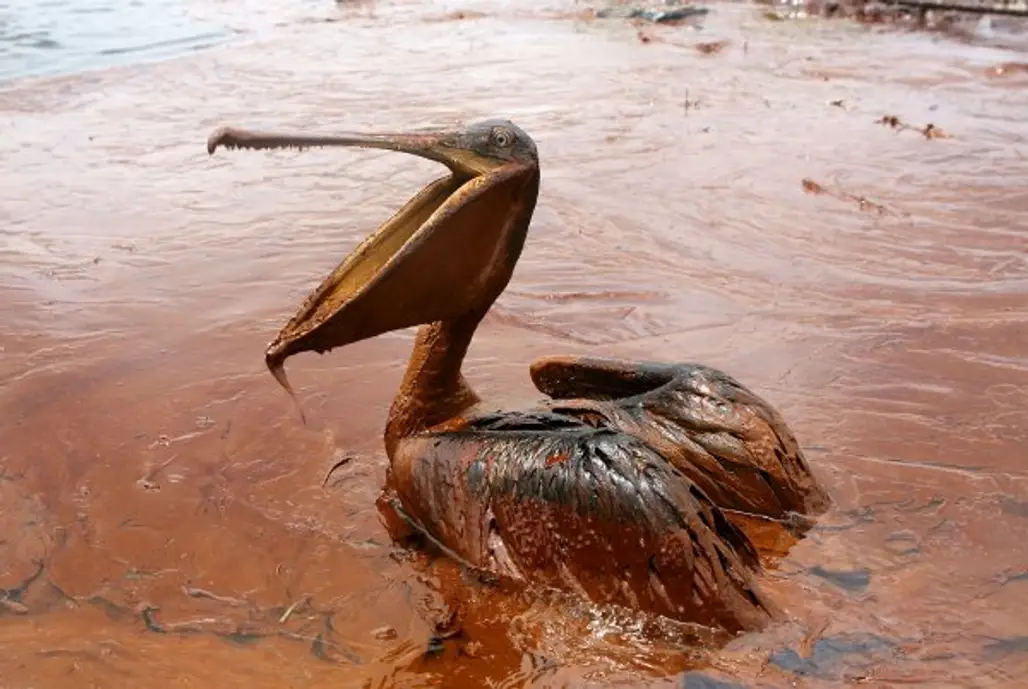 Oil Spills Are a Crime against the Environment