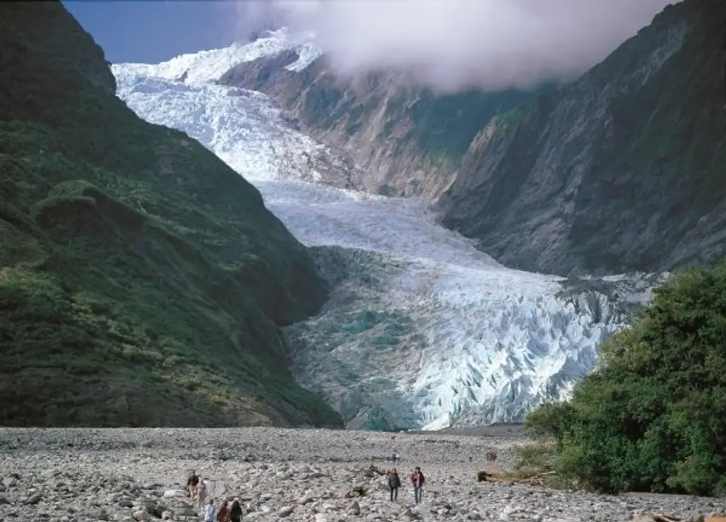 Freeze Frame Franz Josef and Fox Glaciers