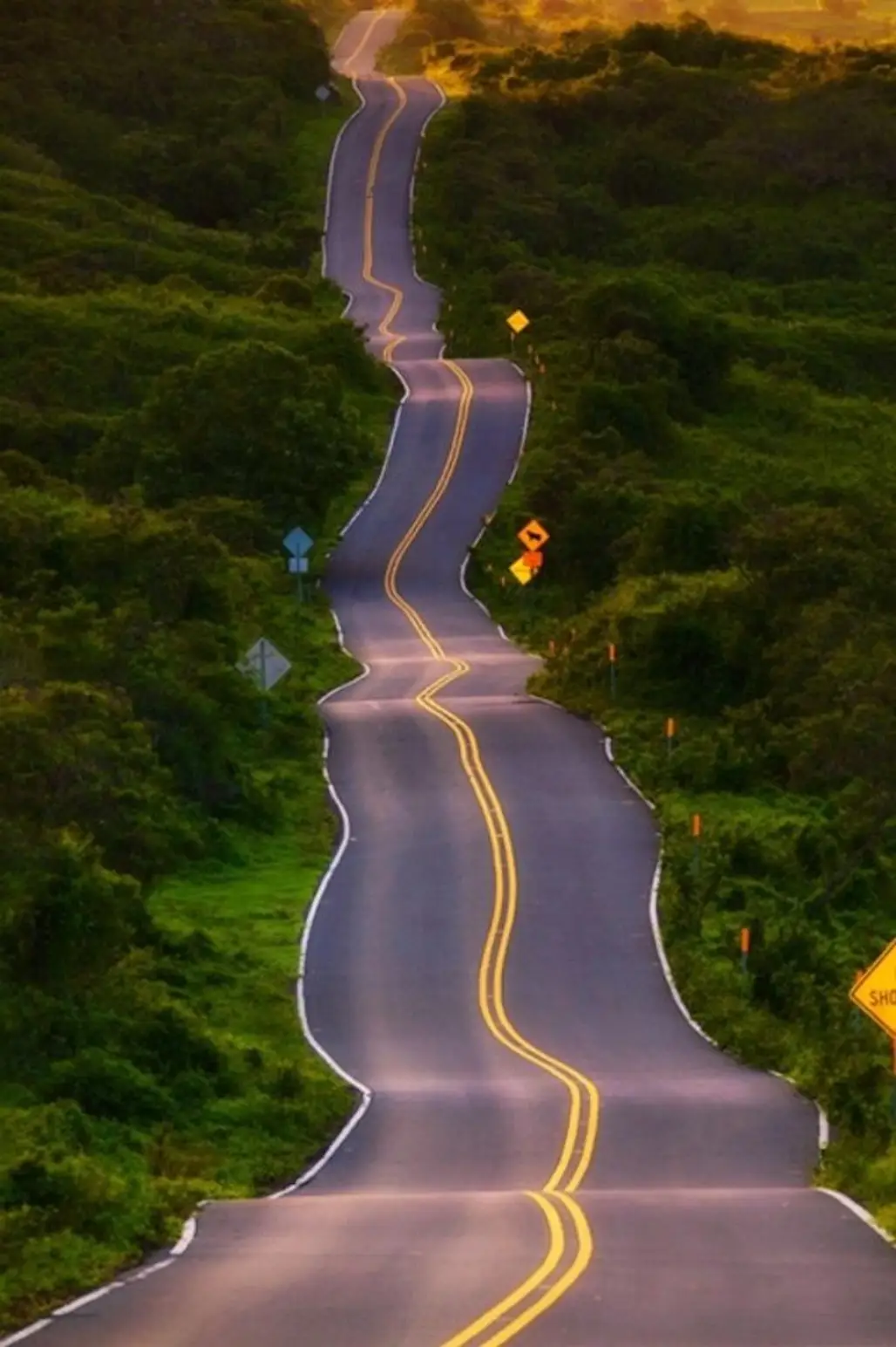 Drunk Highway, Maui