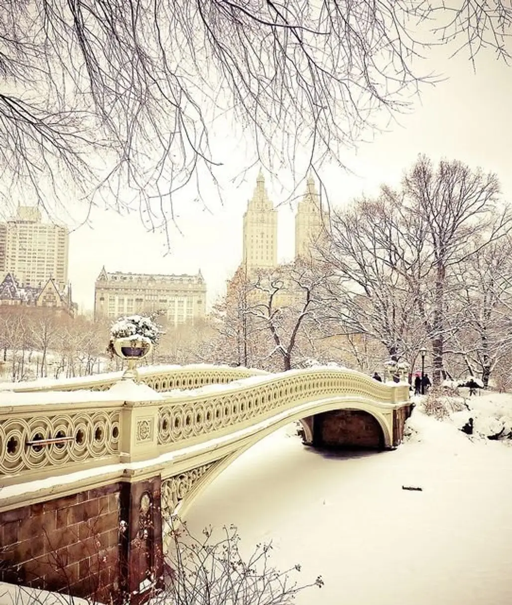 Snow at Bow Bridge, Central Park
