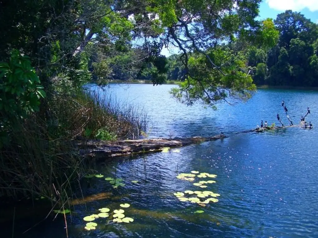 Swim in a Dormant Volcano on the Atherton Tablelands