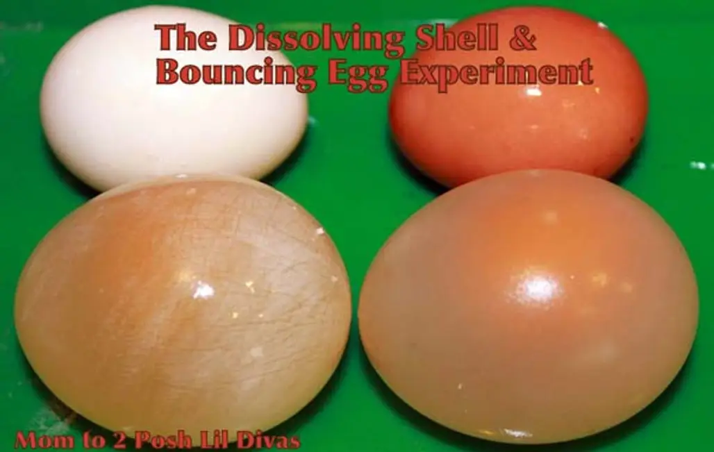 Dissolving Egg Shell