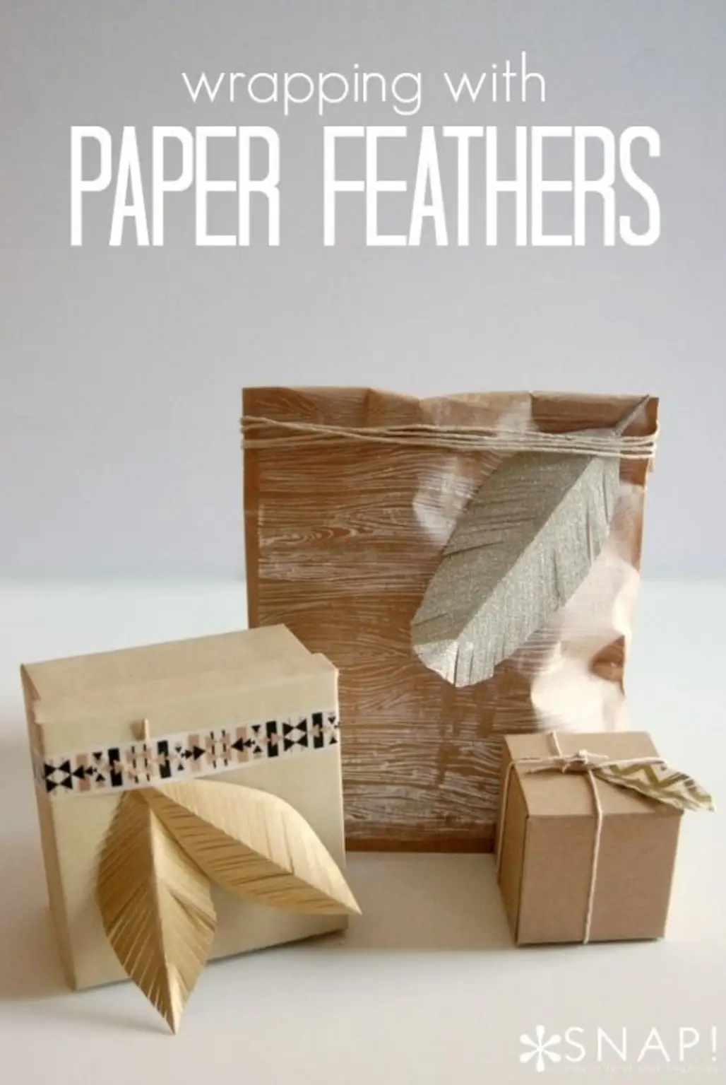 Packaging with Paper Feathers