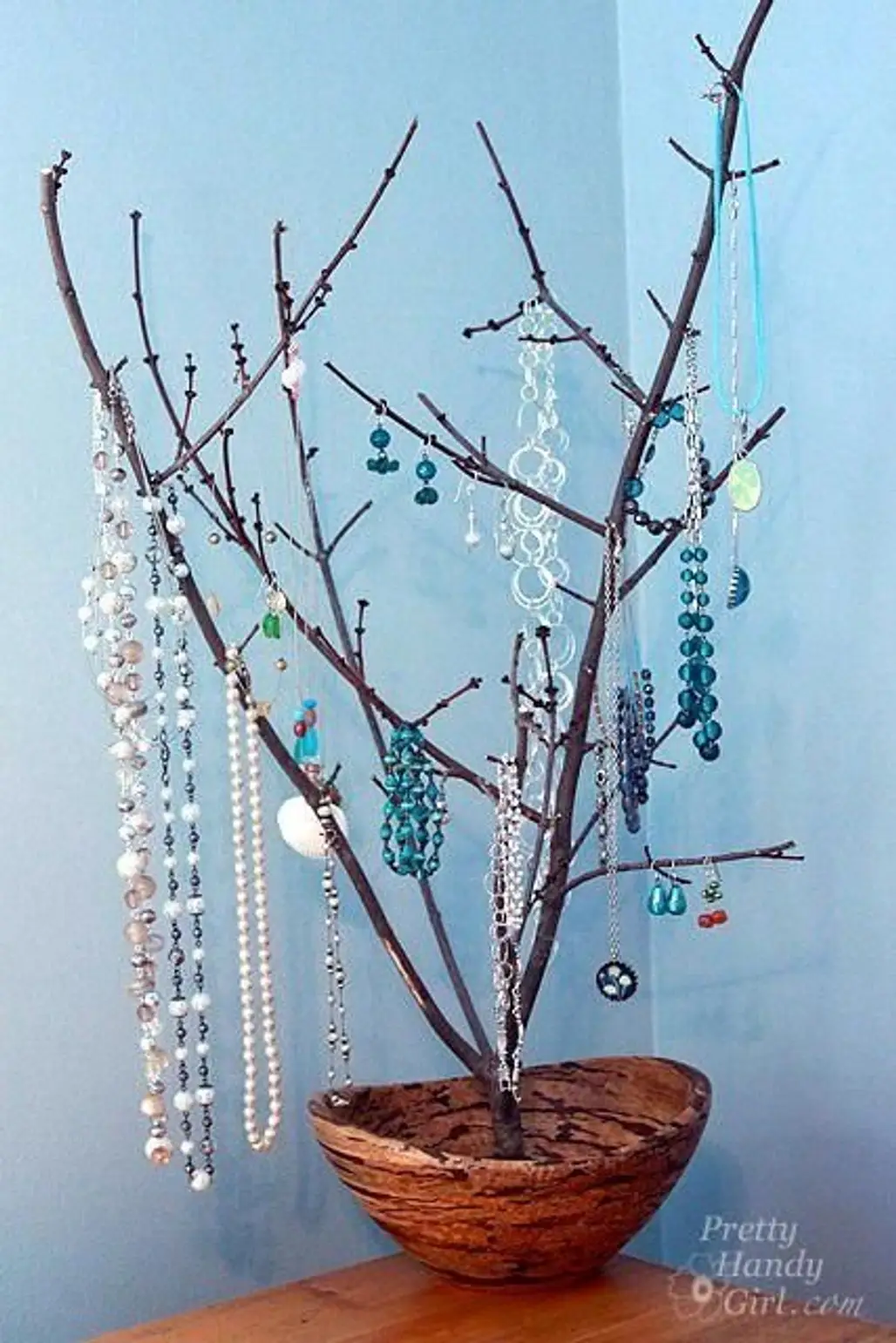 Tree Branch Display